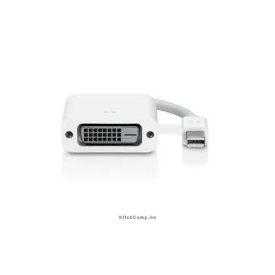 Apple Mini Displayport to DVI Adapter - MB570Z/B : MB570Z_B fotó