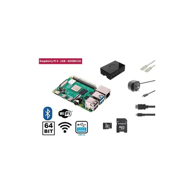 Raspberry Pi 4 1 GB Starter Kit + NOOBS Software Tool : RP4KIT1GB fotó