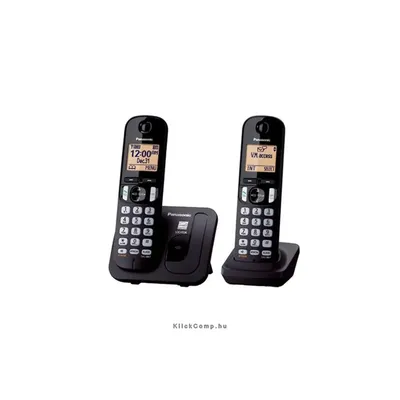 Panasonic DECT telefon Duo szürke : KX-TGC212PDB fotó