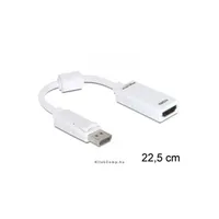 Adapter Displayport male > HDMI female Delock : DELOCK-61767