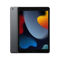 Apple iPad 10,2 64GB Wi-Fi Space Grey (asztroszürke) Tablet-PC : MK2K3HC_A